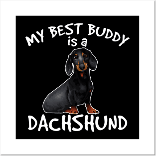 My Best Buddy Is A Dachshund Posters and Art